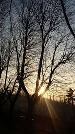 Silhouette bare trees against sky during sunset