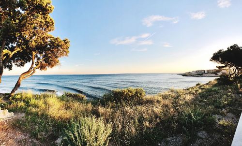 Scenic view of sea against sky