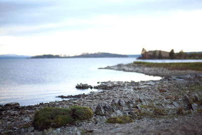 Close-up of rocks by sea against sky