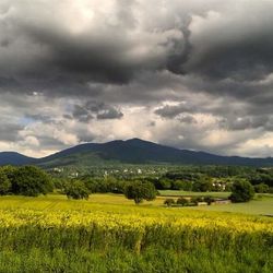 Scenic view of field against cloudy sky