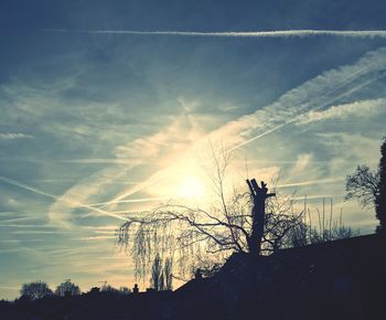 Low angle view of silhouette trees against sky