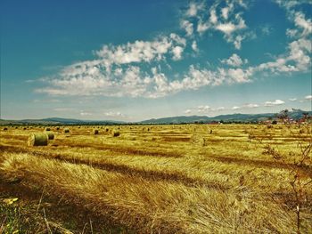 Scenic view of agricultural field against sky
