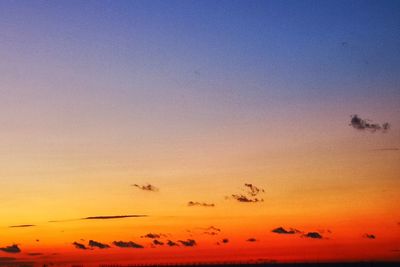Silhouette birds flying in sky during sunset