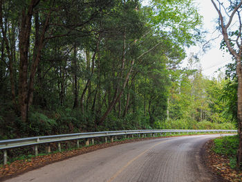 Road amidst trees in forest