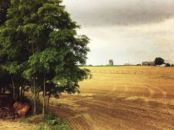 Trees on field against sky