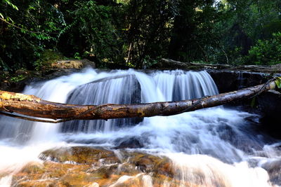 Scenic view of waterfall in forest