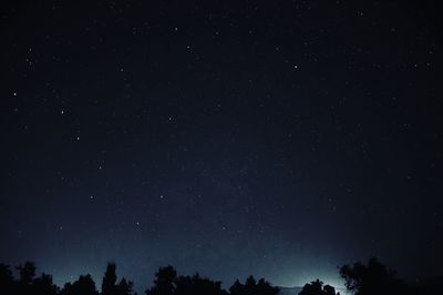 Low angle view of silhouette trees against sky at night