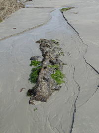 High angle view of sand at beach