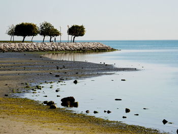 Scenic view of sea against clear sky