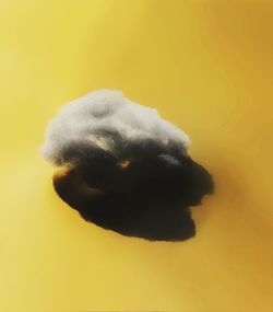 Close-up of human eye against yellow background