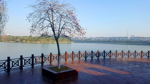 Railing by river against clear sky