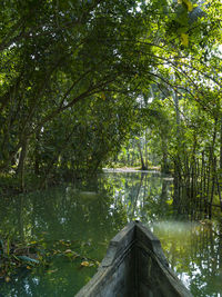 Scenic view of lake amidst trees in forest