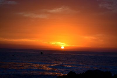 Scenic view of sea against orange sky