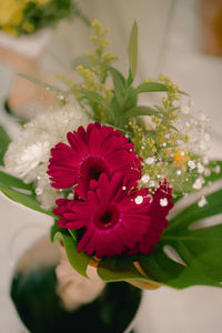 Close-up of red flowering plant