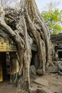 View of buddha statue in temple