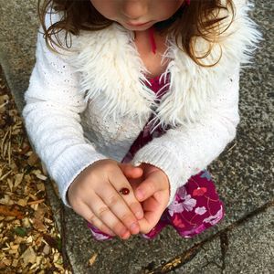 Close-up of girl holding ladybug