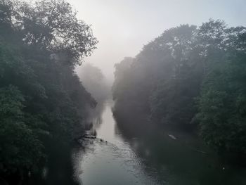 Scenic view of river amidst trees against sky