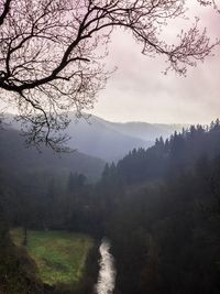 Scenic view of landscape against sky during foggy weather