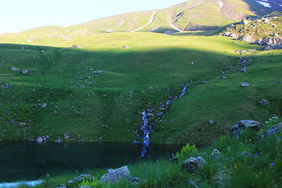 Scenic view of landscape