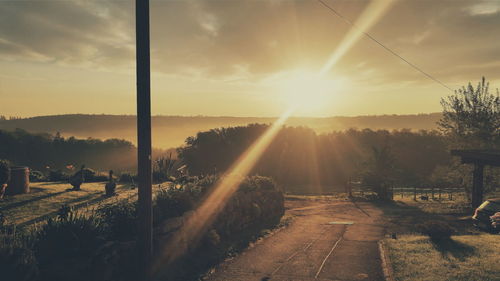 Road with trees and mountain at sunset