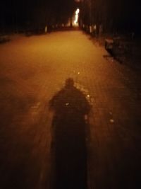 Reflection of person on puddle in city at night