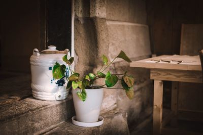 Close-up of potted plant on table