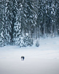Distant view of couple standing on snowy land