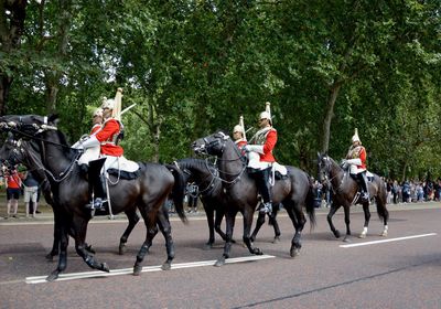 Group of people riding horses