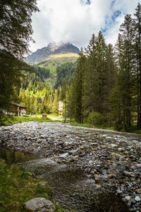 Natural landscape with green mountain peaks in summer