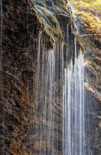 Close-up of waterfall in forest