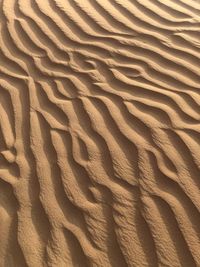 Full frame shot of sand dune
