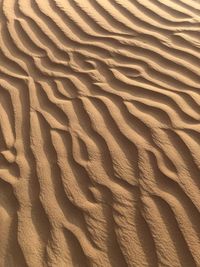 Full frame shot of sand dune