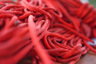 Close-up of red rope