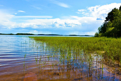 Scenic view of lake against cloudy sky