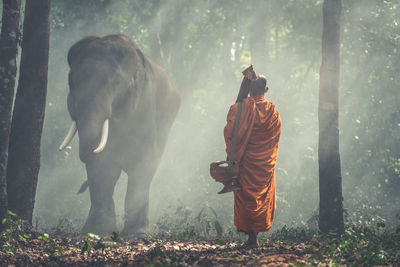 Rear view of man in forest