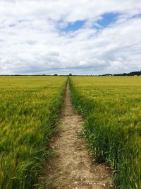 Dirt road passing through field