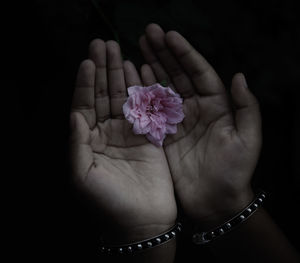 Close-up of hand holding purple flower against black background