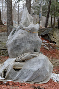 Close-up of statue of tree trunk in field