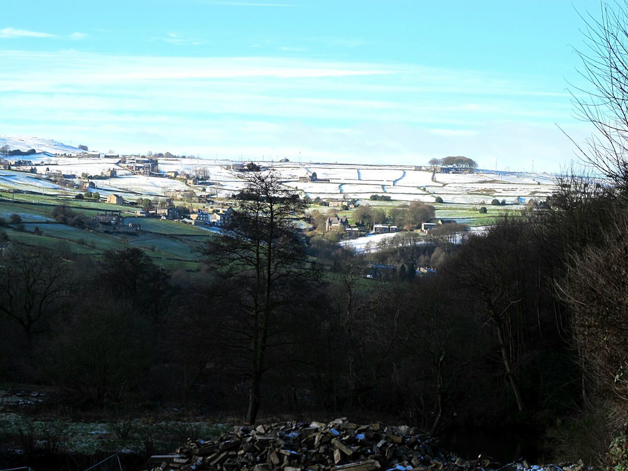 SCENIC VIEW OF TREES AGAINST SKY