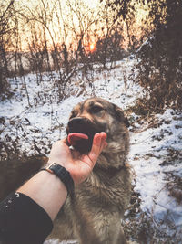 Human hand holding a snow