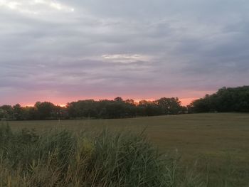 Scenic view of field against sky during sunset