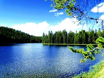 Scenic view of lake against blue sky