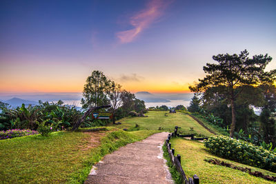 Footpath amidst trees against sky during sunset