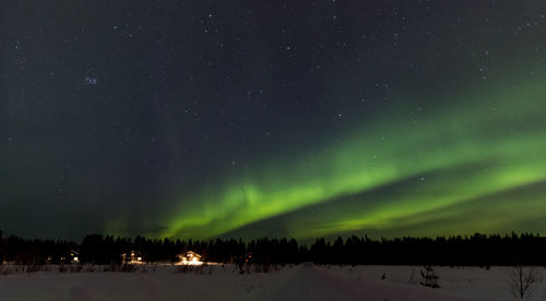 Scenic view of trees against sky at night during winter