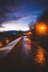 Road passing through bare trees