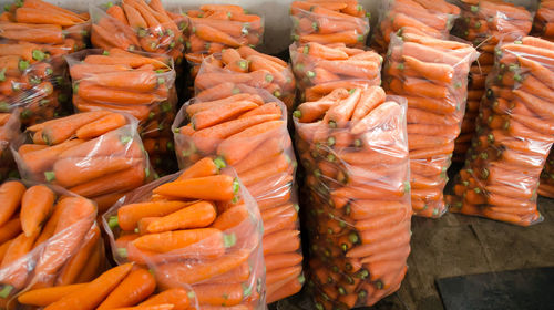 Bags with young fresh carrot prepared for sale. freshly harvested. growing organic vegetables