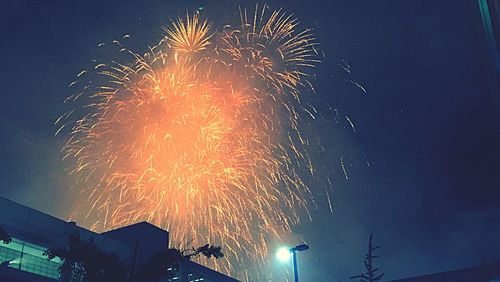 Low angle view of firework display at night