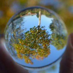 Close-up of hand holding crystal ball