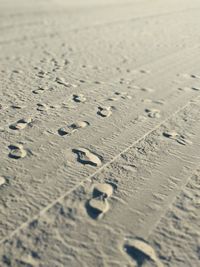 Close-up of tire tracks on sand