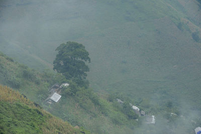 High angle view of trees on landscape